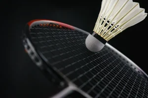 Designing Business Tactics in the Badminton Racket Industry